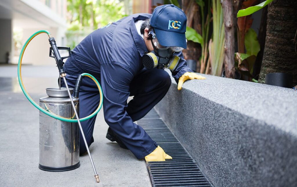 pest control Marrickville