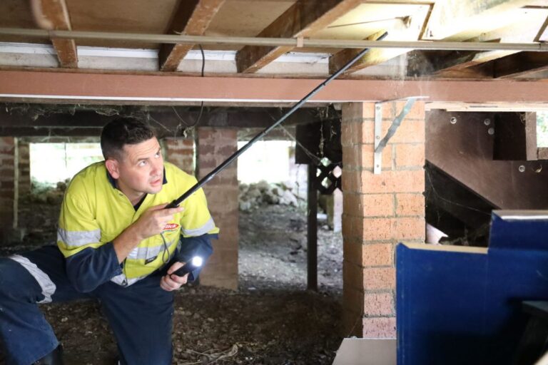 termite inspection Sydney