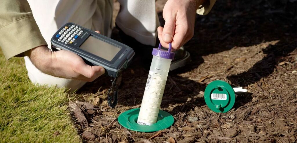 termite inspection Sydney